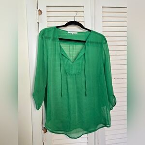 XL Violet & Claire Emerald Sheer Blouse